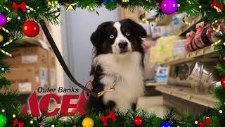 Outer Banks Ace Christmas (2017)