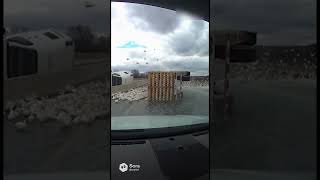 Capture the moment release animals in the highway #cameracaught  #cctvviral #accidenttruck