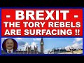 Brexit: the Tory rebels are surfacing! (4k)
