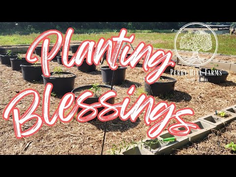 Planting Blessings from one FARM to ANOTHER