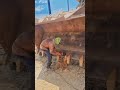 #hilti#anglegrinder #civilengineering #fabrication #4k#viral #roadprojects #construction #trending