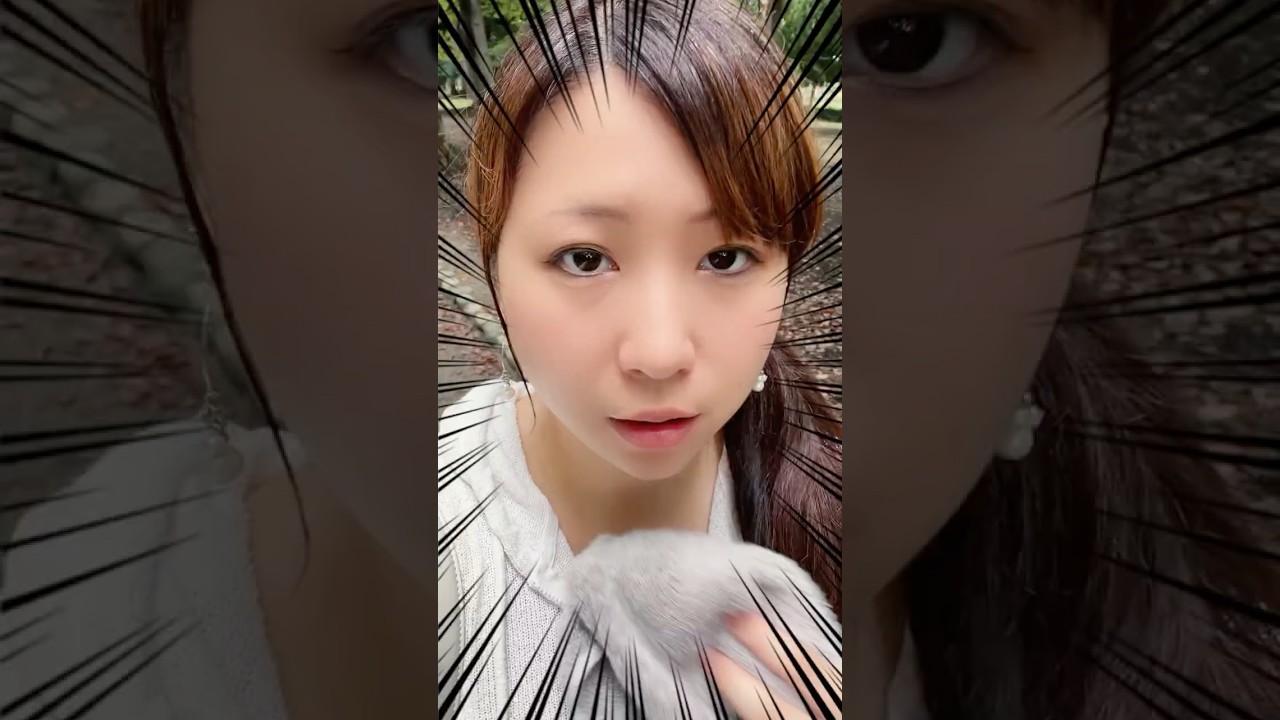 珍しいことが…？#散歩 #vlog #shorts