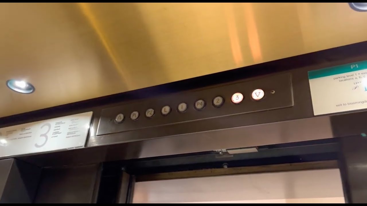 Busted For Filming Nordstrom Elevator By NASTY Guard (2022)