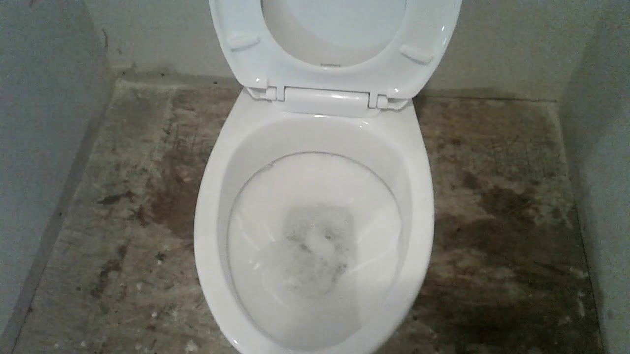 Proof astralian toilet flush backwards YouTube