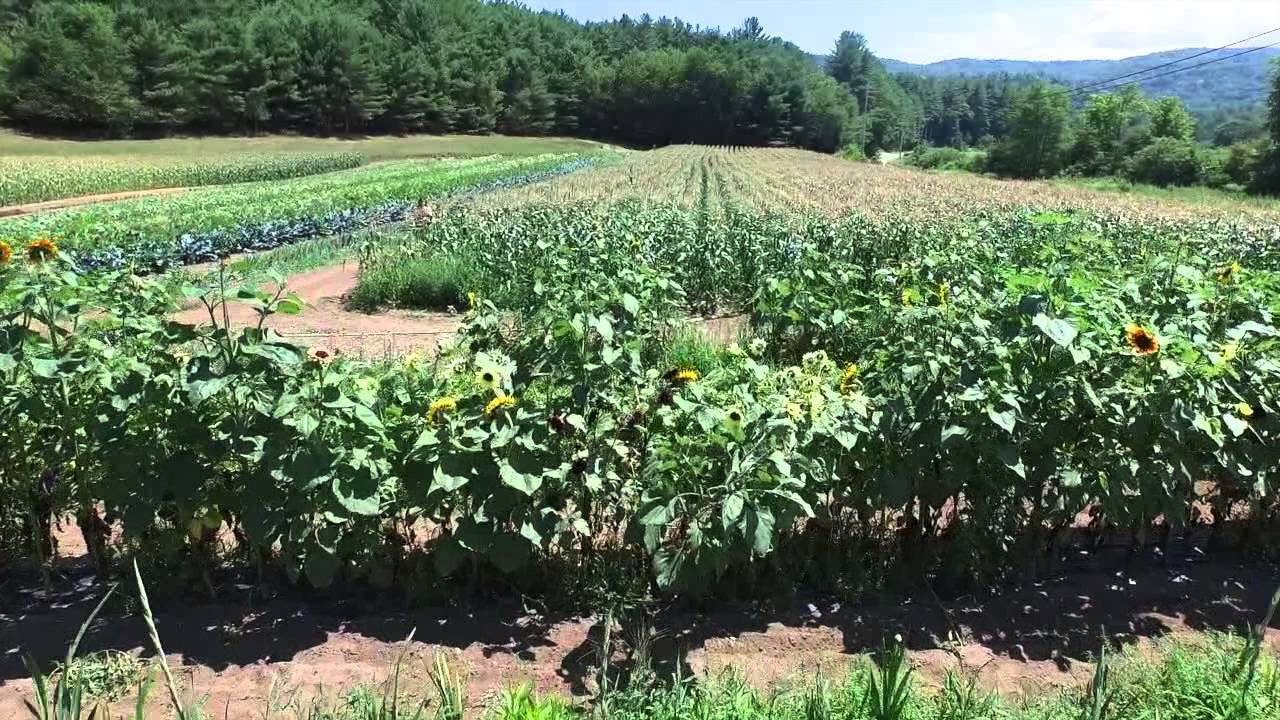 Walker's Farm Test flight YouTube