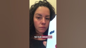 Cats are not from here.They see energy. They guard portals.Ancient Egypt knew it