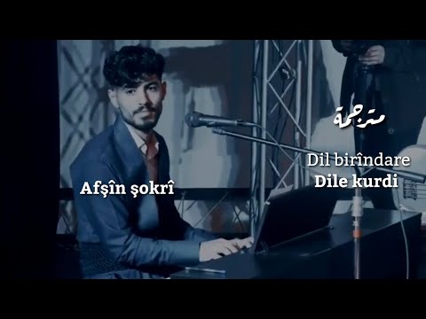 أغنية كردية دغري دليمن -digrî dilêmin - dil birîndare - afşîn şokrî -مترجمة
