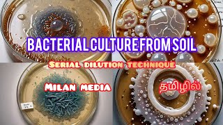 Bacterial culture from soil sample | pour plate technique | spread plate | Tamil | Milan media