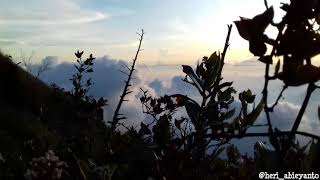 Puisi cinta (mount sindoro) 3153 mdpl