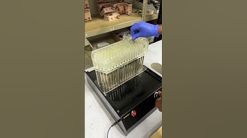 Pre roll cone filling machine