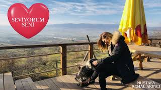 Sevi̇yorum Seni̇