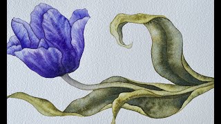 Unleash Your Creativity: StepbyStep Watercolor Tutorial for Tulip Painting