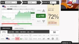 How to Trade Binary Options for a Living | Professional Binary Options Trading System Explained 2014