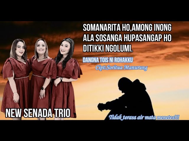 MERIND!NG‼️NEW SENADA TRIO || DANGNA TOIS NI ROHAKKU class=