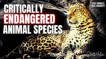 Animal Species in Endangered & Critically Endangered Categories | Save Animals Save Humanity