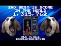 1,315,762 - 2nd Highest Recorded 18 Score Ever and CTM Qualifying WR - NES Tetris - dogplayingtetris