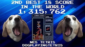 1,315,762 - 2nd Highest Recorded 18 Score Ever and CTM Qualifying WR - NES Tetris - dogplayingtetris
