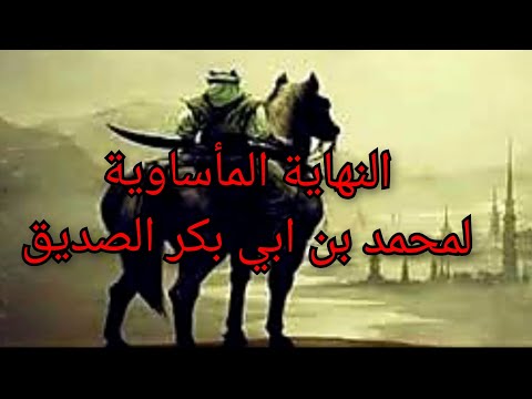 قصة النهاية المأساوية لمحمد بن ابي بكر الصديق معلومة تاريخية