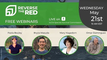 Success Stories around Reverse the Red - Live Webinar (05/21/2021)
