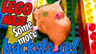 Hamster Lego Maze Pit-Stop Backstage