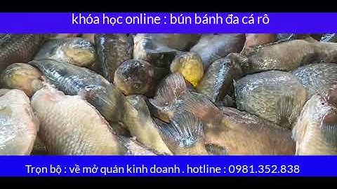 học bún cá rô 0981352838