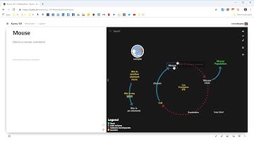 Kumu Integrated Issues Feature xRev