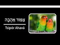 How to Say Birds Names in Hebrew - Part 2