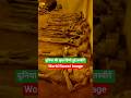 Some rarest images of the world #latest #new #facts #youtubeshorts
