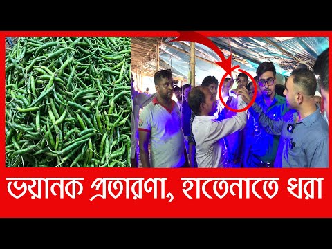 কাঁচা মরিচ ব্যবসায়ীর ভয়ানক প্র*তা*রণা ধরলো ভোক্তা অধিকার  | Daily Issues | Vokta odhikar