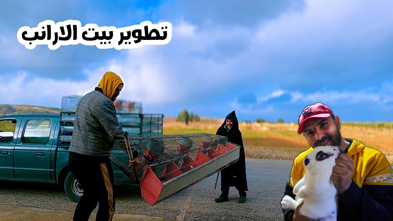 شراء اقفص تدعم الرضاعة الحبيسة وصنع مشرب أوتوماتيكي