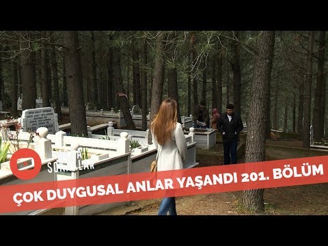 Mesut Seyran Ve Tunç Ona Gidiyor 201. Bölüm