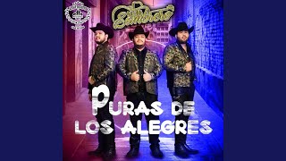Video thumbnail of "Los Del Sombrero - Los Pecosos"