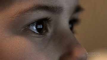 Tracing a Gaze to Understand Language Delays