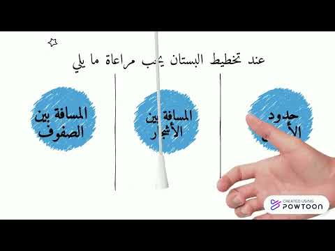 تخطيط البستان