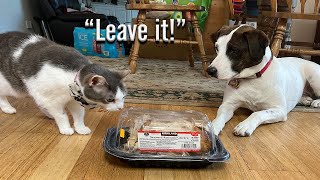 Leave it Challenge II Rotisserie Chicken by It's a Wonderful Life with Pets! 18 views 2 years ago 3 minutes, 46 seconds