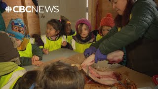 Weledeh Catholic School runs new land-based junior kindergarten class in Yellowknife