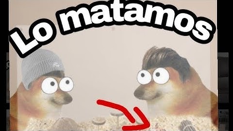 MATE A LA MASCOTA DE MI PROFESOR (hilos con cheems)