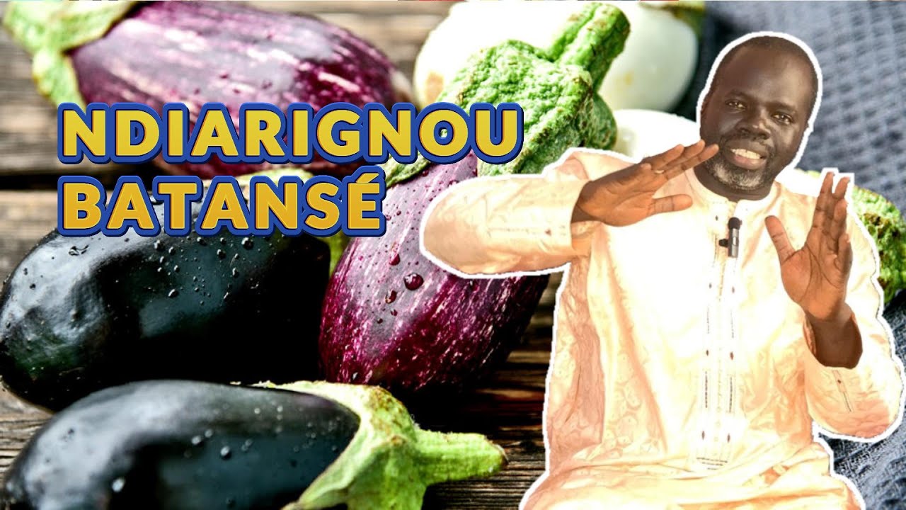 Les vertus de L' Aubergine - Pr Ousmane Ndiaye - SAMA XALAAT TV
