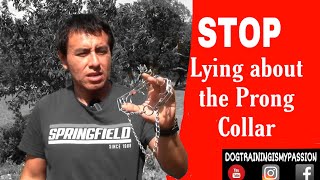 STOP lying about the Prong Collar. Dog Training.