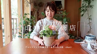 〈short〉母の日｜アレンジメントがおうちに届いてからの飾り方・おすすめの花瓶・お手入れ方法｜Instagram Live