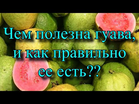 Видео: Что такое клубничная гуава - узнайте о выращивании клубничного дерева гуавы