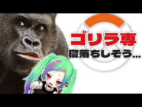 【ゴリラ専OW2】寝落ちしそうなんで少しだけ…オーバーウォッチ２【※暴言注意】