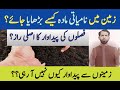 How to Increase Organic Matter for Soil Health & Crop Productivity? | نامیاتی مادہ پیداوار کا راز