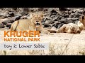 One of our BEST days in the KRUGER Park as we drive across to LOWER SABIE Camp | Season 2, Day 2.