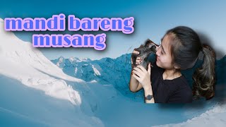 tutorial/cara mandiin baby musang