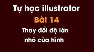 Tự học illustrator cho người mới bắt đầu | Bài 14: Thay đổi độ lớn nhỏ của hình