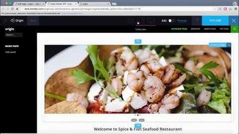 JV Demo of Origin Builder software by Precious Ngwu