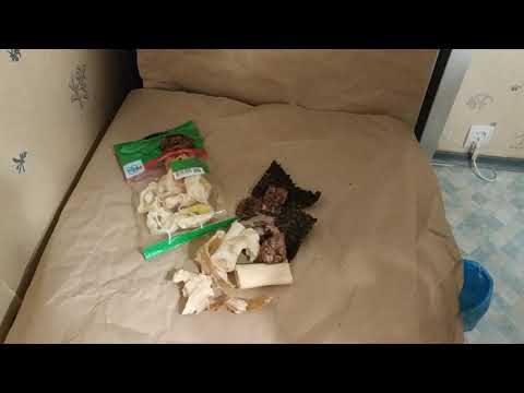 Видео: Pet Center, Inc. добровольно отзывает лакомства для собак из баранины