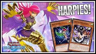 BEST HARPIE DECK! Counter your Opponent with Cyber ​​Slash Harpie Lady!! [Yu-Gi-Oh! Duel Links]