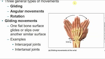 2113 Chapter 8 - Joints
